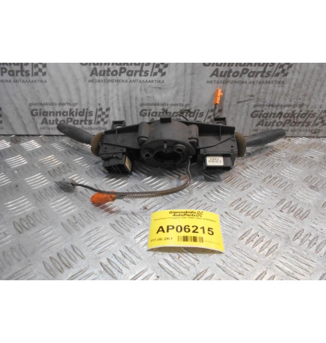 Φλασιέρα Peugeot 206 1998-2003 61580003