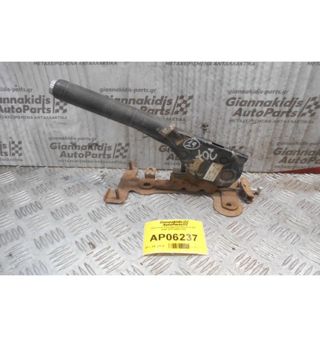 Καστάνια Χειροφρένου Peugeot 207 2006-2010 96517791