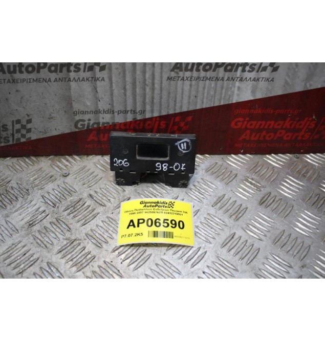 Οθόνη Πολλαπλών Ενδείξεων Peugeot 206 1998-2007 96250976ZR 02432219901