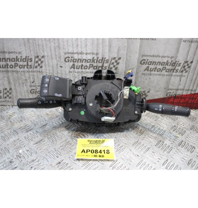 Φλασιερα Renault Megane 2002-2006 (Χαλασμένη Σερπαντίνα) 61835909