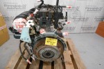 Κινητήρας - Μοτέρ Ford Fiesta 16V DHF 1995-2002