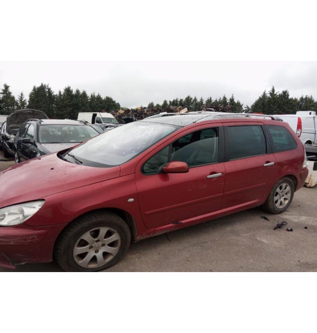 Ολόκληρο Αυτοκίνητο Peugeot 307 SW 2001-2005