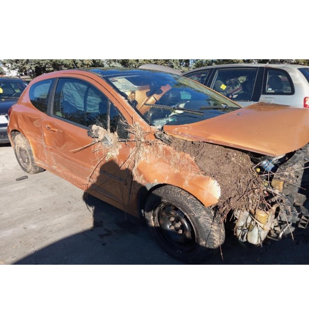 Ολόκληρο Αυτοκίνητο Peugeot 207 Κωδ.Κινητηρα 5FX 1600cc 150hp 2006-2010