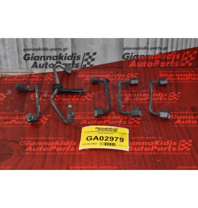 Σωληνάκια Μπέκ Hyundai Santa Fe 2.2 CRDI D4EB 2005-2010
