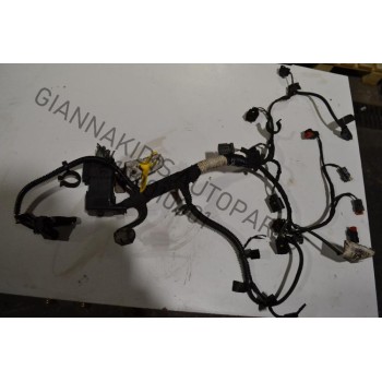 Πλεξούδα Ford Transit Connect 1.8cc TDCI RWPA 2006-2013