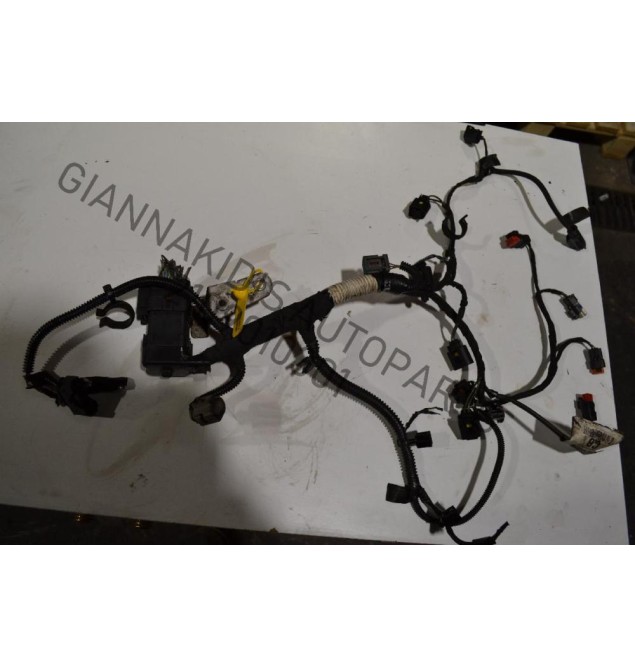 Πλεξούδα Ford Transit Connect 1.8cc TDCI RWPA 2006-2013