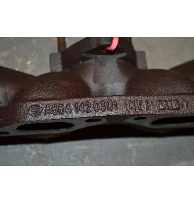 Πολλαπλή Εξαγωγής SsangYong Kyron 2.0cc XDI 664950 2002-2010 A6641420301