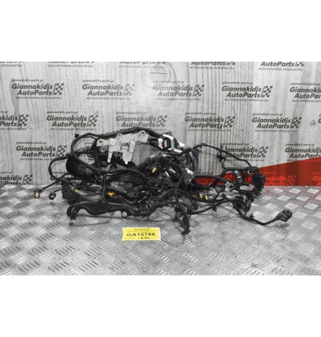 Πλεξούδα Μηχανής Mercedes-Benz E220 2.0d W213 654920 2016-2022 Α6541501100 Α6541506500