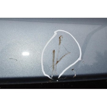 Τζαμόπορτα Hyundai Santa Fe 2006-2011 (Μικρό Χτύπημα)