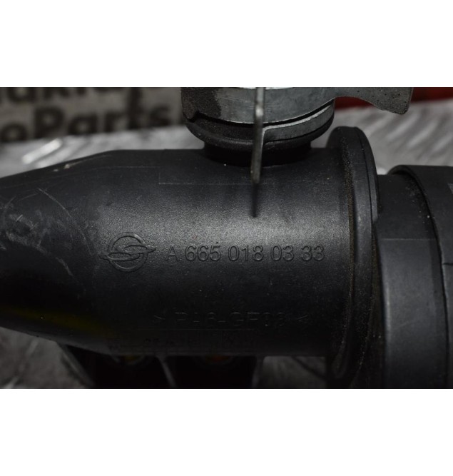 Βαλβίδα Αναθυμιάσεων SsangYong Kyron 2.0 XDI 664950 2002-2010 A6650180333