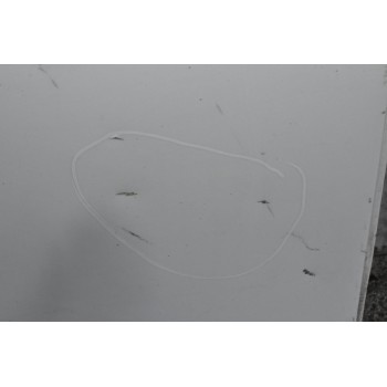 Πόρτα Πίσω Δεξιά Audi A4 Avant (Quatro) 2008-2012 (Με Χτύπημα)