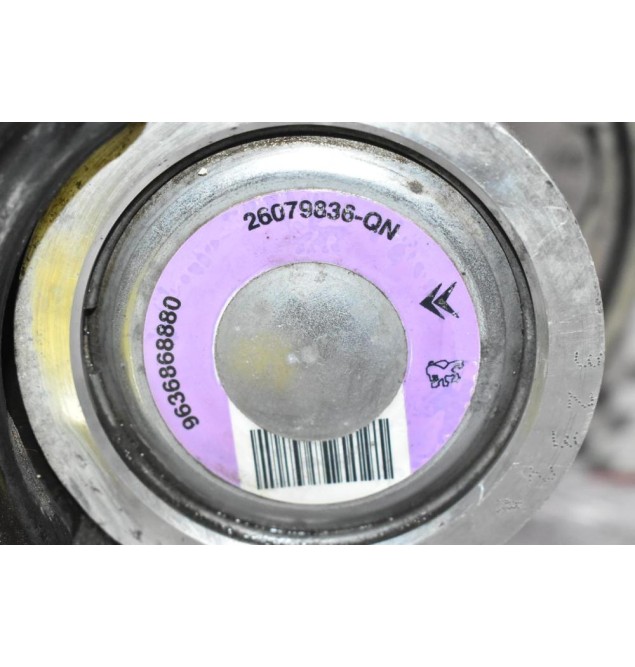 Αντλία Υδραυλικού Τιμονιού Peugeot 206 1.4 / 1.6 1998-2002 9636868880