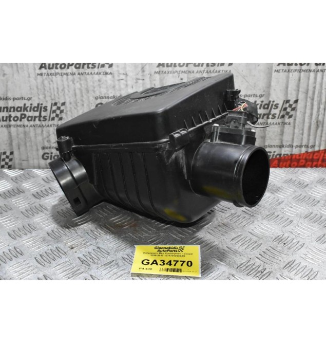 Φιλτροκούτι Mini Countryman - Cooper 2010-2017 13717812949-05