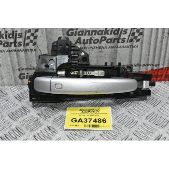 Χερούλι (Πόμολο) Αριστερά Audi Q5 - A5 - A4 2008-2018