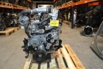 Κινητήρας - Μοτέρ Isuzu Campo / Opel 2.5 Turbo Diesel 4JA1 1995-2001 (Ντίζα) (Καινουργια) Γνησια