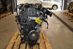 Κινητήρας - Μοτέρ Citroen C4 Picasso 1.6 - 3008 HDI 9H01 10JBBN 2007-2015