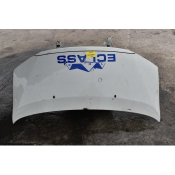 Καπό Toyota Hiace 2006-2012