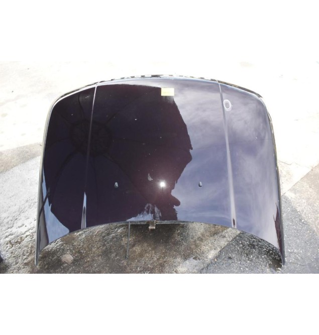 Καπό Range Rover Sport 2009-2014