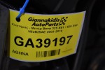 Κινητήρας - Μοτέρ Bmw 325 E91 / 525 E60 N52B25AE 2003-2010