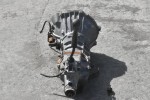 Κιβώτιο Ταχυτήτων / Σασμάν Toyota Hilux 2.4 2L 1990-2001 LN85 / LN145