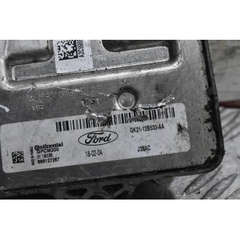 Εγκέφαλος Ford Transit 2.0 Ecoblue YMF6 2015-2023 (Euro 6) GK21-12B533-AA A2C99886800