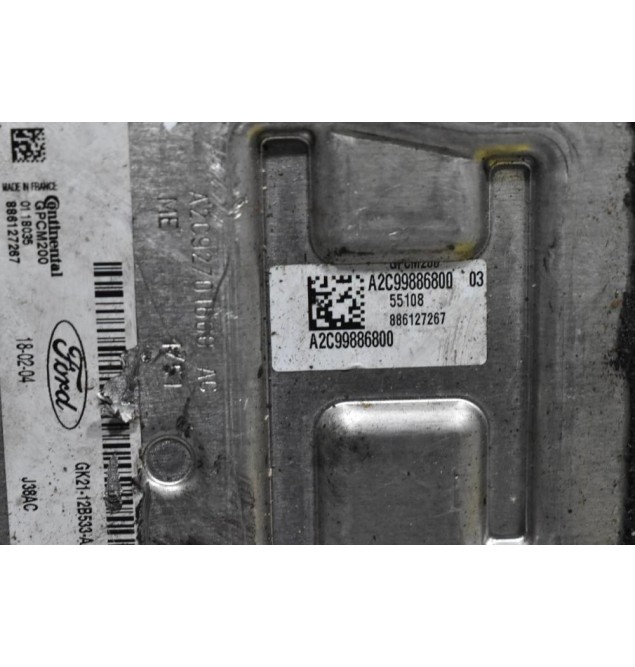 Εγκέφαλος Ford Transit 2.0 Ecoblue YMF6 2015-2023 (Euro 6) GK21-12B533-AA A2C99886800