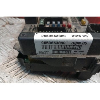 Ασφάλειες - Ασφαλειοθήκη Peugeot 307 2001-2005 9650663880 BSMB5