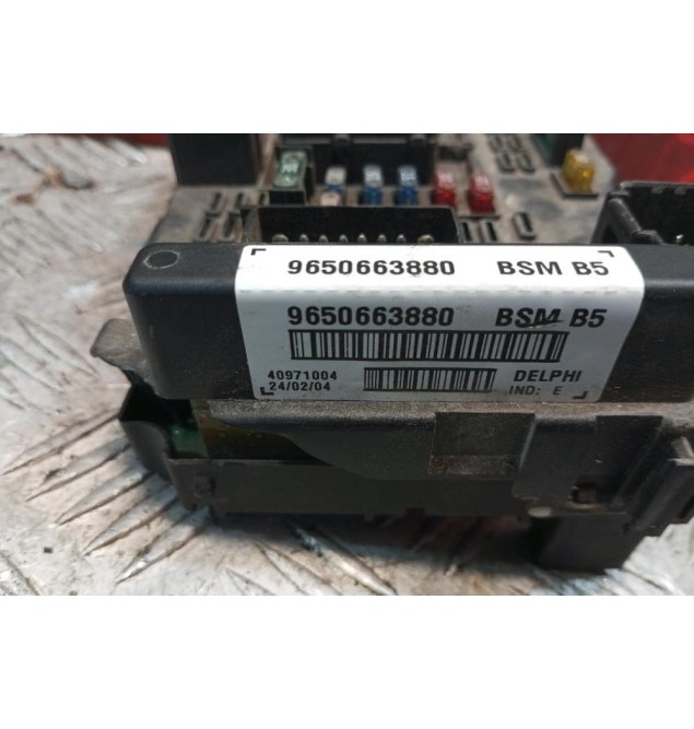 Ασφάλειες - Ασφαλειοθήκη Peugeot 307 2001-2005 9650663880 BSMB5