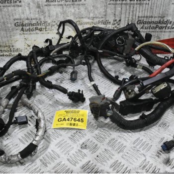 Πλεξούδα - Καλωδίοση Κινητήρα Ford Ranger / Transit - Mazda BT-50 3.2 TDCI P5AT 2010-2020 (Γνήσια)