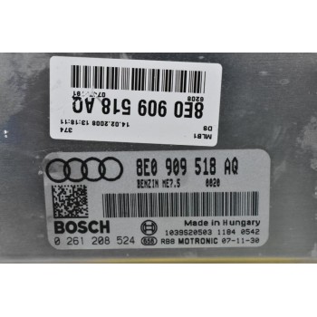 Εγκέφαλος Audi A4 1.8 20VT BFB 2003-2012 8E0909518AQ 0261208524 1039S20503