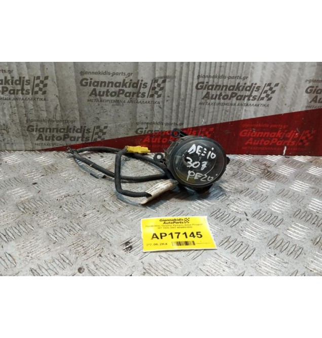 Προβολέας Ομιχλης Εμπρος Δεξια Peugeot 307 2005-2007 9650001680