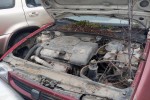 Ολόκληρο Αυτοκίνητο Seat Cordoba Κωδ.Κινητηρα APQ 1400cc 60hp 1994-1999