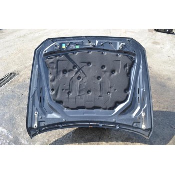 Καπό Bmw Σειρά 5 F10 / F11 2011-2016