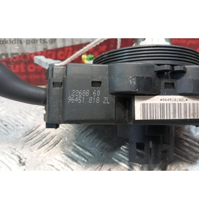 Φλασέρ -Φλασιέρα Citroen Xsara 2000-2004 4+2+2+2+6+6+2 pins