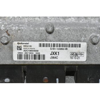 Εγκέφαλος Ford Fiesta 2008-2018 G1B1-12A650-VB A2C10654500