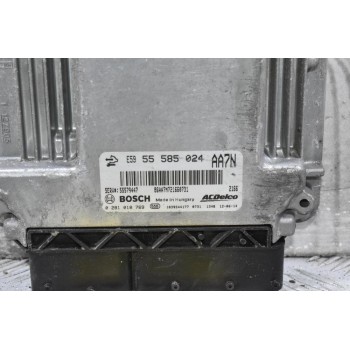 Εγκέφαλος Opel Insignia / Zafira 2.0 CDTI 2008-2018 55585024 0281018769 55579447 1039S44177