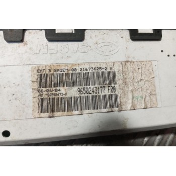 Οθόνη Πολλαπλων Ενδειξεων Citroen C5 2001-2004 1 Φις 9650243177F00