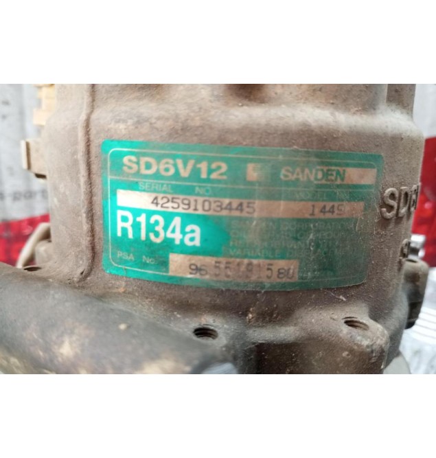 Κομπρεσέρ Aircondition - A/C Peugeot 206 1998-2003 9655191580 R134a SD6V12