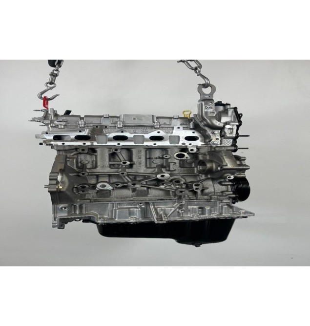 Κινητήρας - Μοτέρ Ford Transit 2.0 Ecoblue YLR6 2015-2022 (Καινουργια Γνησια) (Πισω κινηση) (BJRA YLRA)