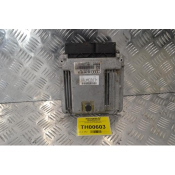 Εγκέφαλος Audi A4 2004-2008 0281012113 03G906016GN 1039S10575