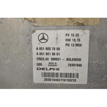 Εγκέφαλος Mercedes-Benz B 200 2011-2014 DELPHI A6519007600 A6519010601 28391946 PD13M06