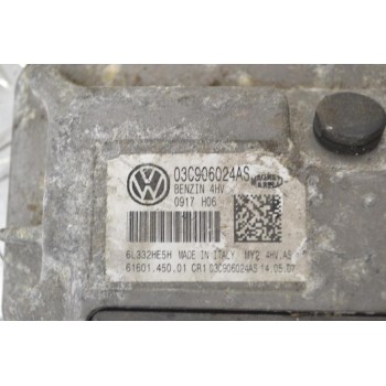 Εγκέφαλος Volkswagen Golf 1.4 2006-2012 MAGNETI MARELLI 03C906024AS (Seat / Audi / Skoda)