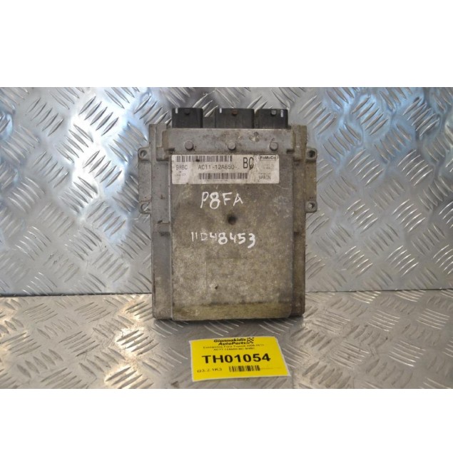 Εγκέφαλος Ford Transit 2006-2014 AC11-12A650-BC 9HBC