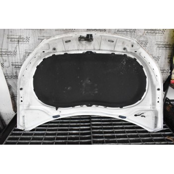 Καπό Volkswagen Tiguan 2006-2016 5N0823155A