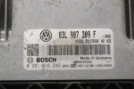 Εγκέφαλος Volkswagen Passat 2008-2010 BOSCH 03L907309F