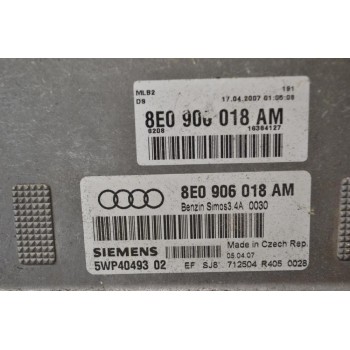 Εγκέφαλος Audi A4 1.6 2000-2005 8E0906018AM 5WP4049302