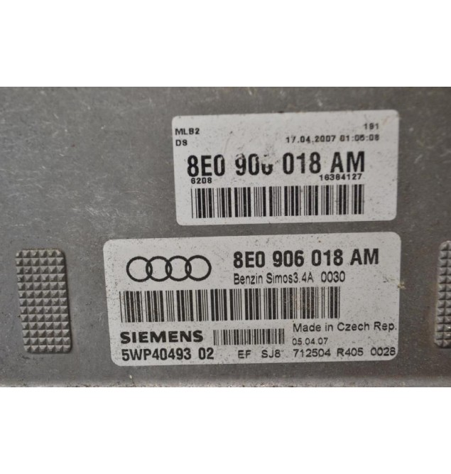 Εγκέφαλος Audi A4 1.6 2000-2005 8E0906018AM 5WP4049302