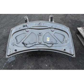 Καπό Renault Clio 2009-2013