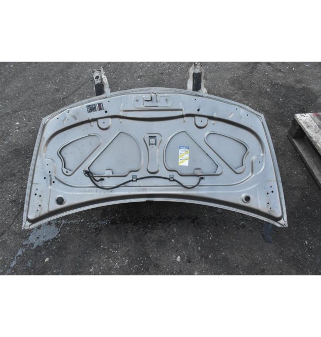 Καπό Renault Clio 2009-2013