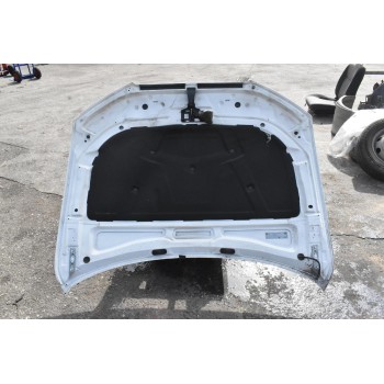Καπό Audi A4 2008-2011 Β8